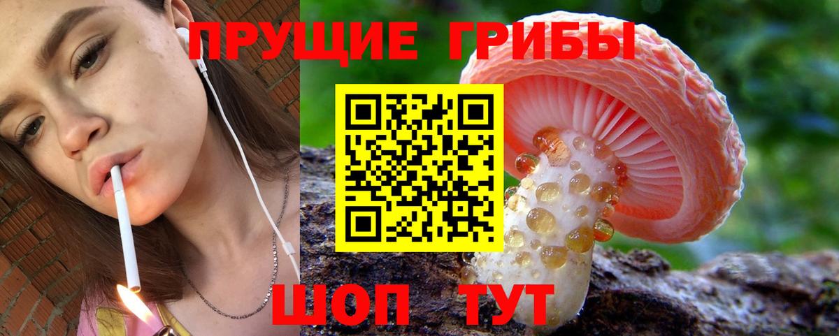 Галлюциногенные грибы мухоморы Новосибирск